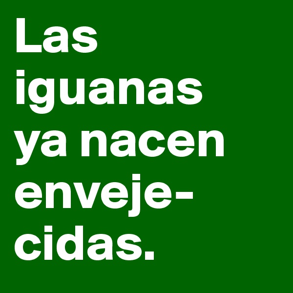 Las iguanas
ya nacen enveje-
cidas.