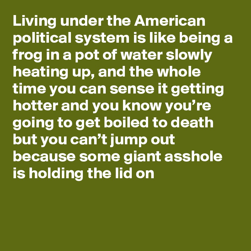 Living under the American political system is like being a frog in a pot of water slowly heating up, and the whole time you can sense it getting hotter and you know you’re going to get boiled to death but you can’t jump out because some giant asshole is holding the lid on