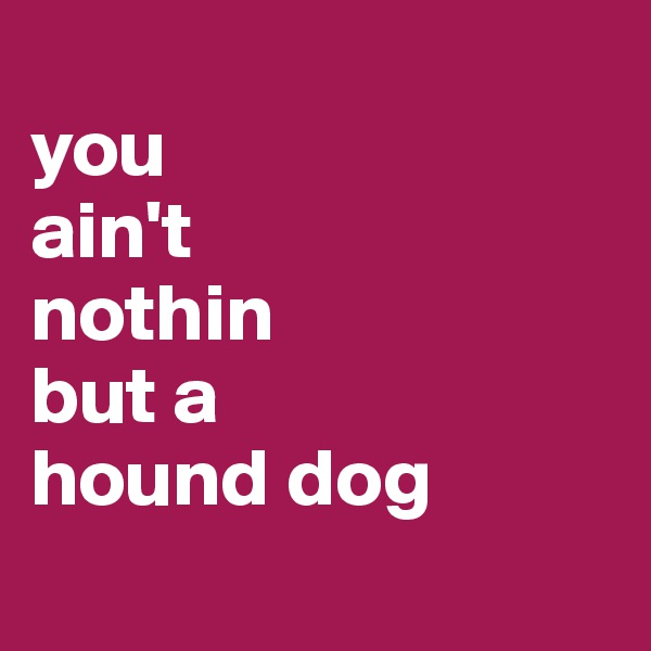 
you 
ain't 
nothin 
but a 
hound dog
