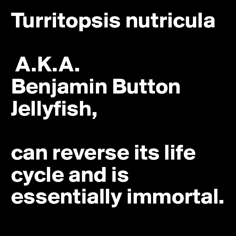 Turritopsis nutricula

 A.K.A. 
Benjamin Button Jellyfish, 

can reverse its life cycle and is essentially immortal.