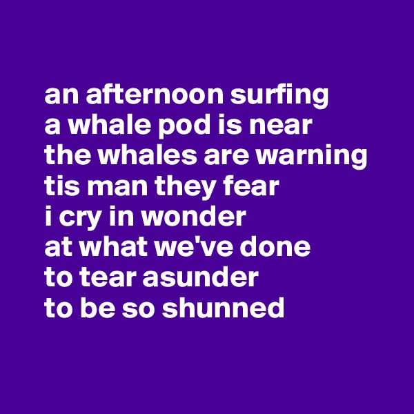 

    an afternoon surfing
    a whale pod is near
    the whales are warning 
    tis man they fear
    i cry in wonder
    at what we've done
    to tear asunder 
    to be so shunned

