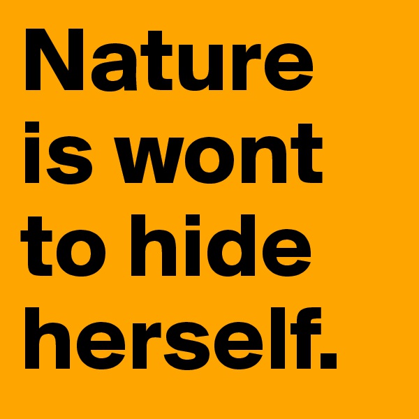 Nature is wont to hide herself.