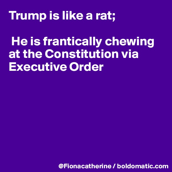 Trump is like a rat;

 He is frantically chewing at the Constitution via Executive Order






