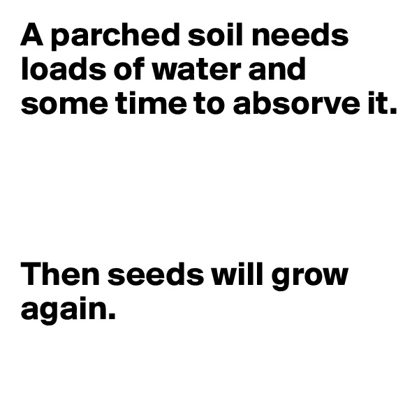 A parched soil needs loads of water and some time to absorve it. 




Then seeds will grow again.
