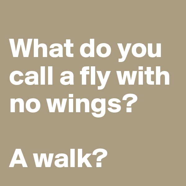 
What do you call a fly with no wings? 

A walk?