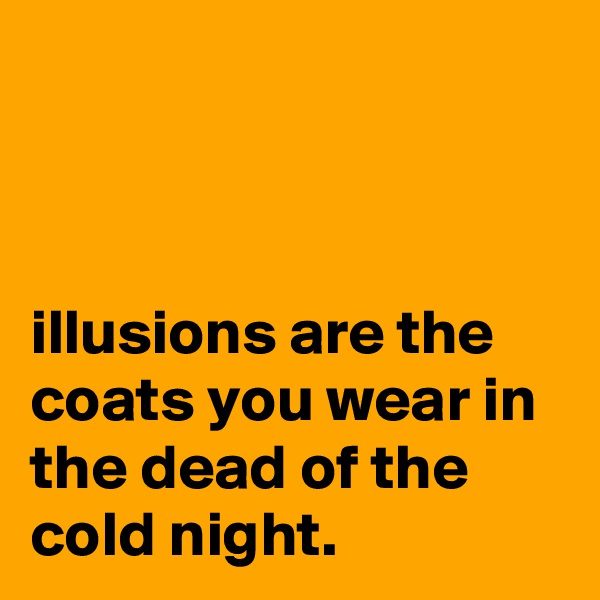 



illusions are the coats you wear in the dead of the cold night.