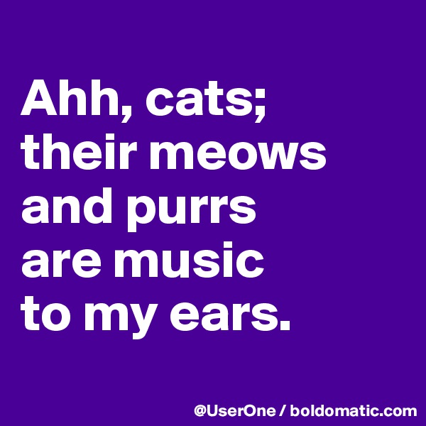 
Ahh, cats;
their meows and purrs
are music
to my ears.
