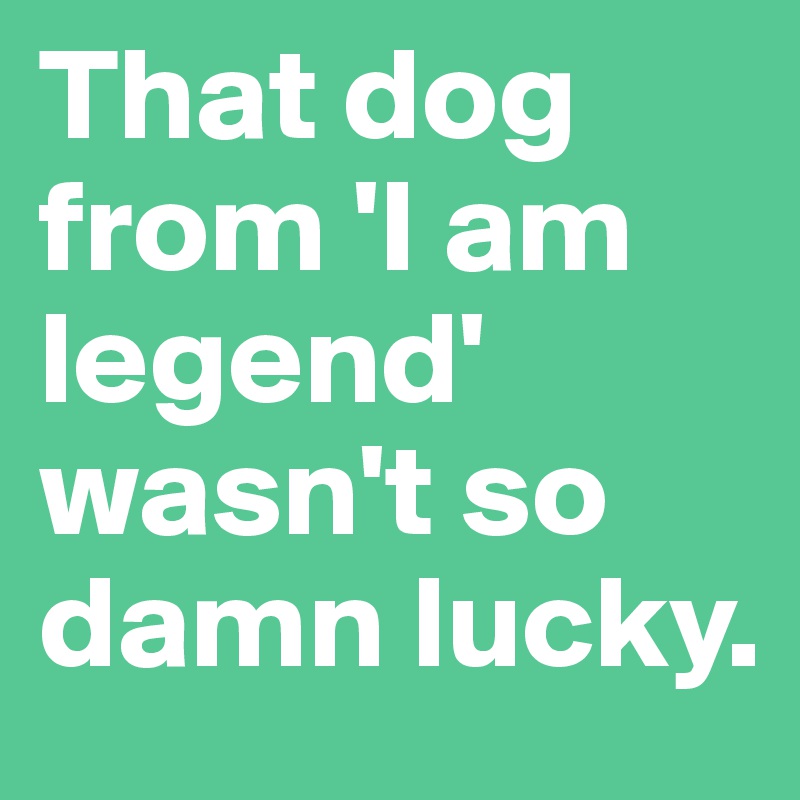 That dog from 'I am legend' wasn't so damn lucky.