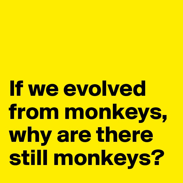 


If we evolved from monkeys, why are there still monkeys?