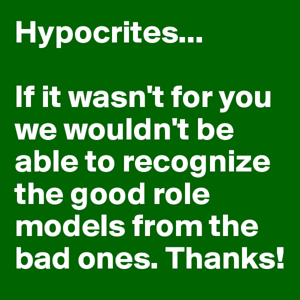 Hypocrites...

If it wasn't for you we wouldn't be able to recognize the good role models from the bad ones. Thanks!