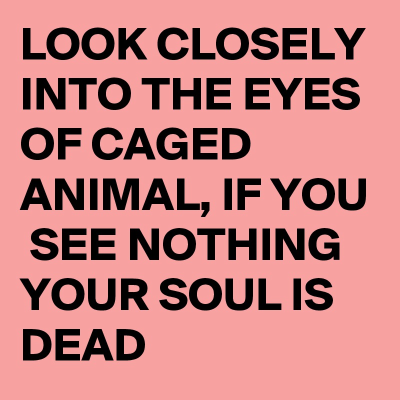 LOOK CLOSELY INTO THE EYES OF CAGED ANIMAL, IF YOU  SEE NOTHING  YOUR SOUL IS DEAD