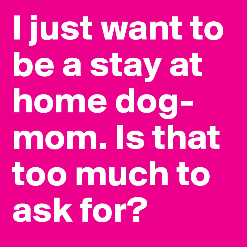 I just want to be a stay at home dog-mom. Is that too much to ask for? 