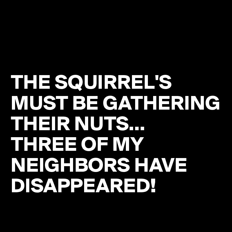 


THE SQUIRREL'S
MUST BE GATHERING THEIR NUTS...
THREE OF MY NEIGHBORS HAVE DISAPPEARED!
