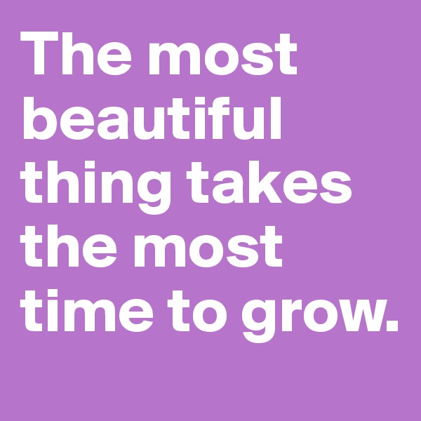 The most beautiful thing takes the most time to grow. 