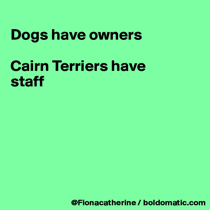 
Dogs have owners

Cairn Terriers have
staff







