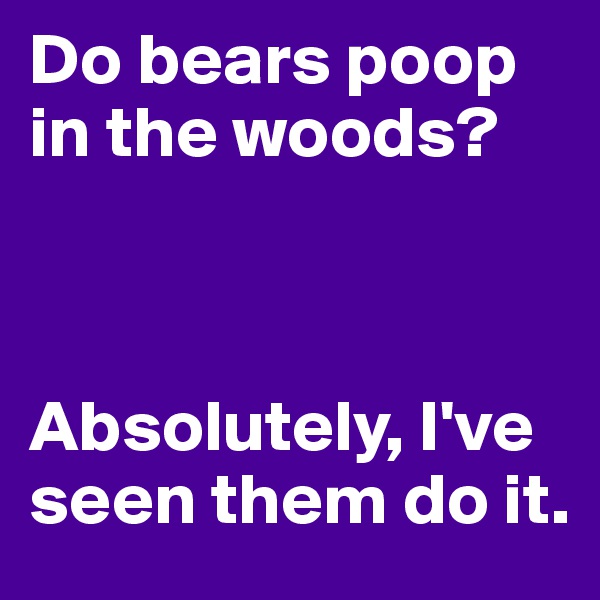 Do bears poop in the woods?



Absolutely, I've seen them do it.