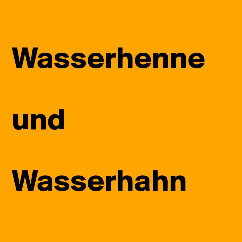 
Wasserhenne

und

Wasserhahn
