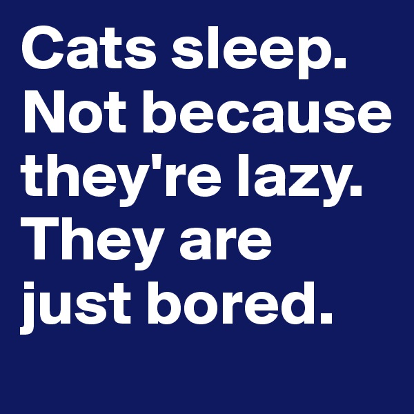 Cats sleep.
Not because they're lazy.
They are just bored.