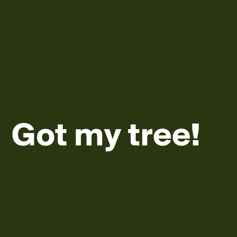 


Got my tree!

