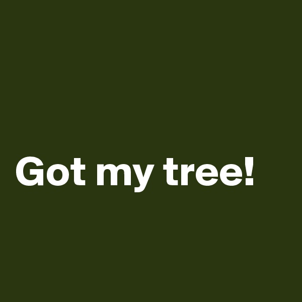 


Got my tree!

