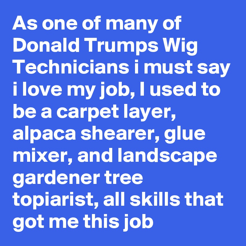 As one of many of Donald Trumps Wig Technicians i must say i love my job, I used to be a carpet layer, alpaca shearer, glue mixer, and landscape gardener tree topiarist, all skills that got me this job