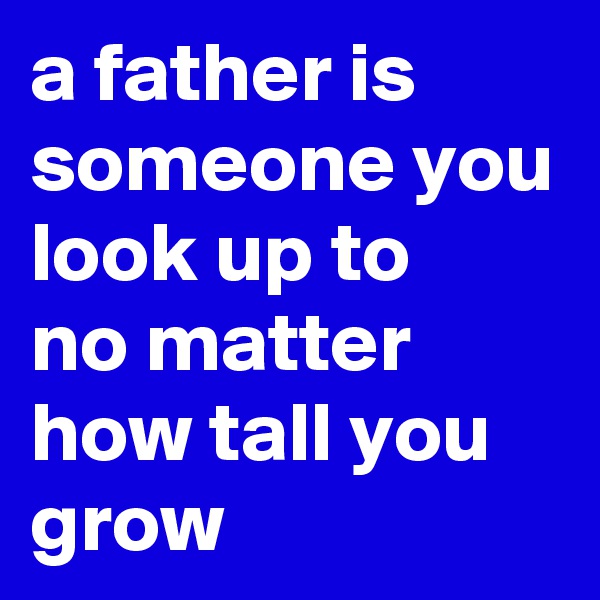 a father is someone you look up to 
no matter how tall you grow