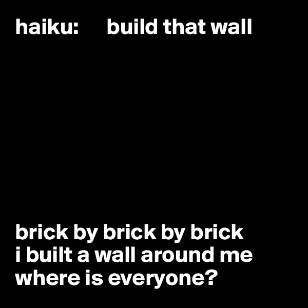 haiku:      build that wall








brick by brick by brick
i built a wall around me
where is everyone? 