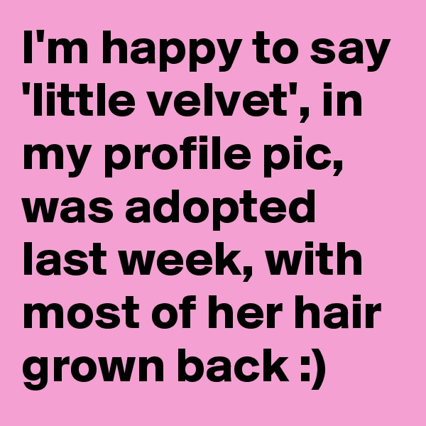 I'm happy to say 'little velvet', in my profile pic, was adopted last week, with most of her hair grown back :)
