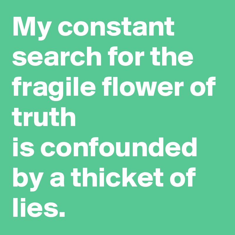 My constant search for the fragile flower of truth
is confounded
by a thicket of lies.