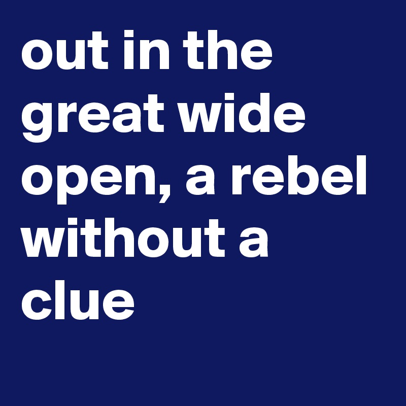 out in the great wide open, a rebel without a clue