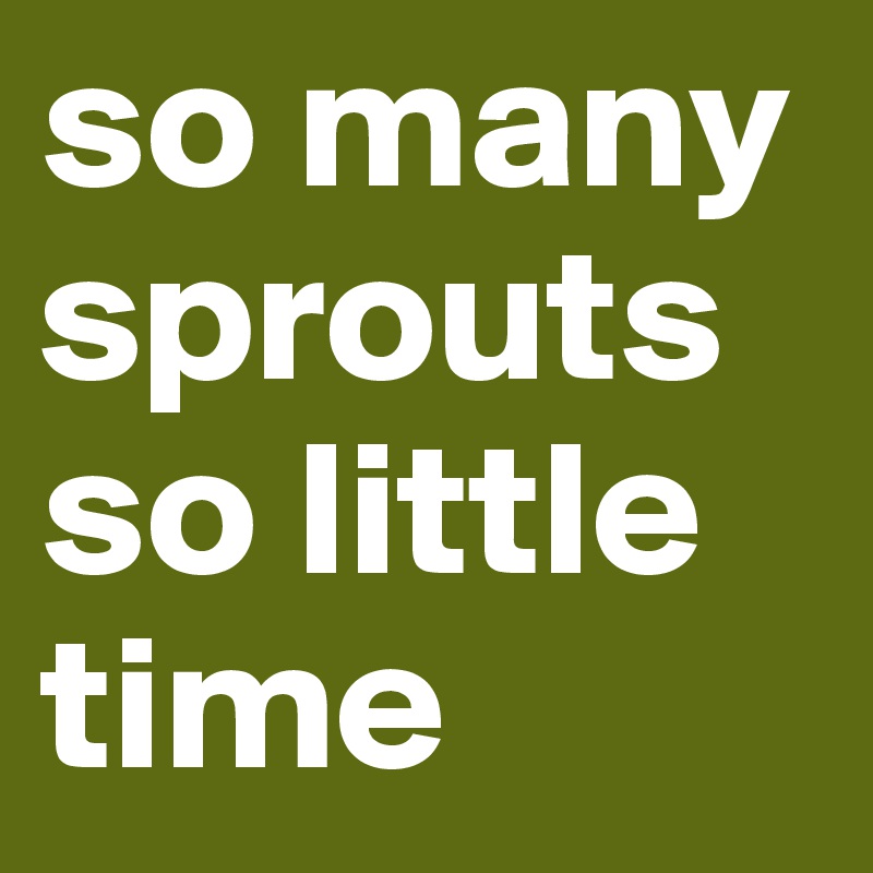 so many sprouts
so little time