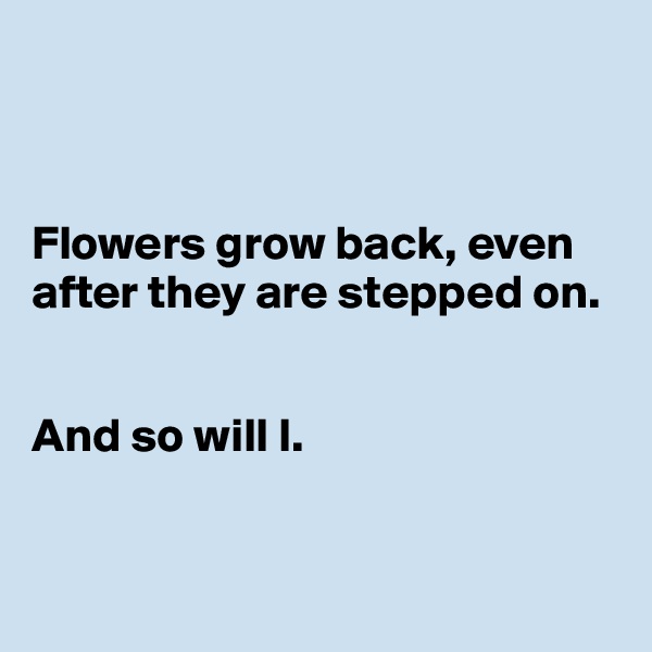 



Flowers grow back, even after they are stepped on. 


And so will I. 


