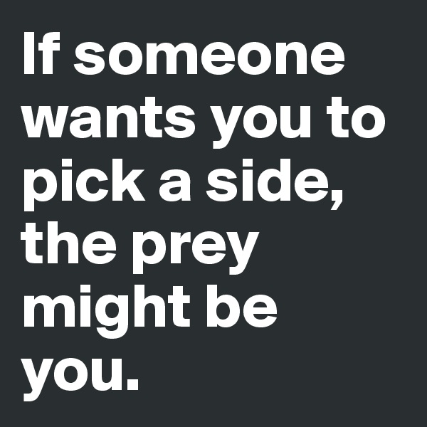 If someone wants you to pick a side, the prey might be you. 