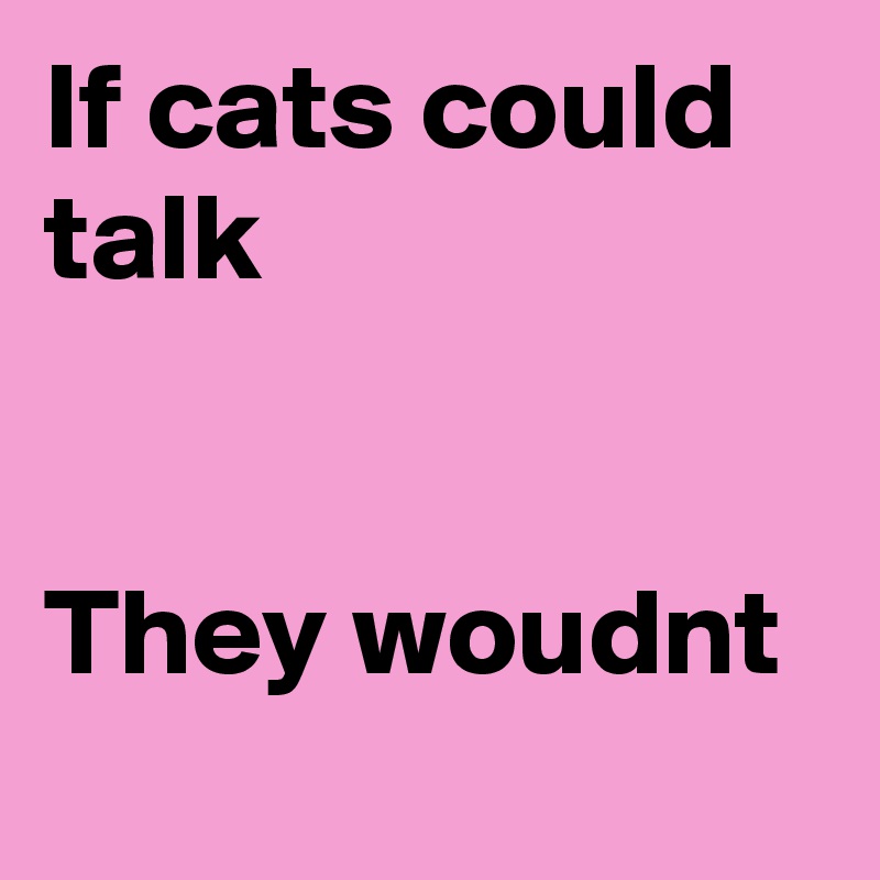 If cats could talk


They woudnt 
