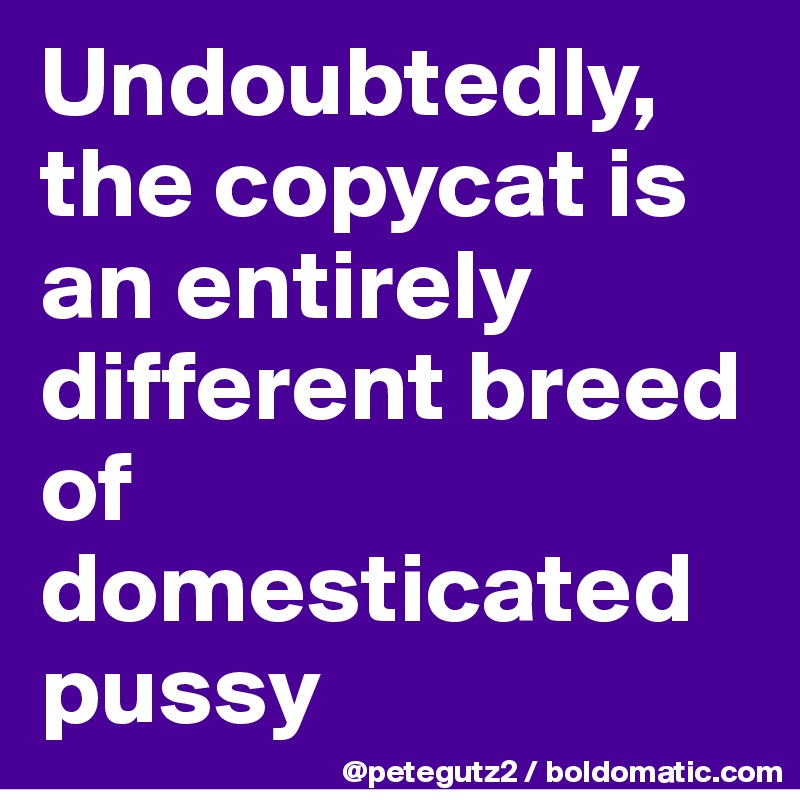 Undoubtedly, the copycat is an entirely different breed of domesticated pussy
