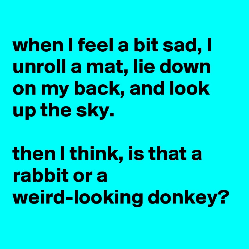 
when I feel a bit sad, I unroll a mat, lie down on my back, and look up the sky.

then I think, is that a rabbit or a weird-looking donkey?
