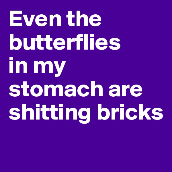 Even the butterflies 
in my 
stomach are 
shitting bricks
