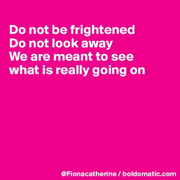 
Do not be frightened
Do not look away
We are meant to see
what is really going on






