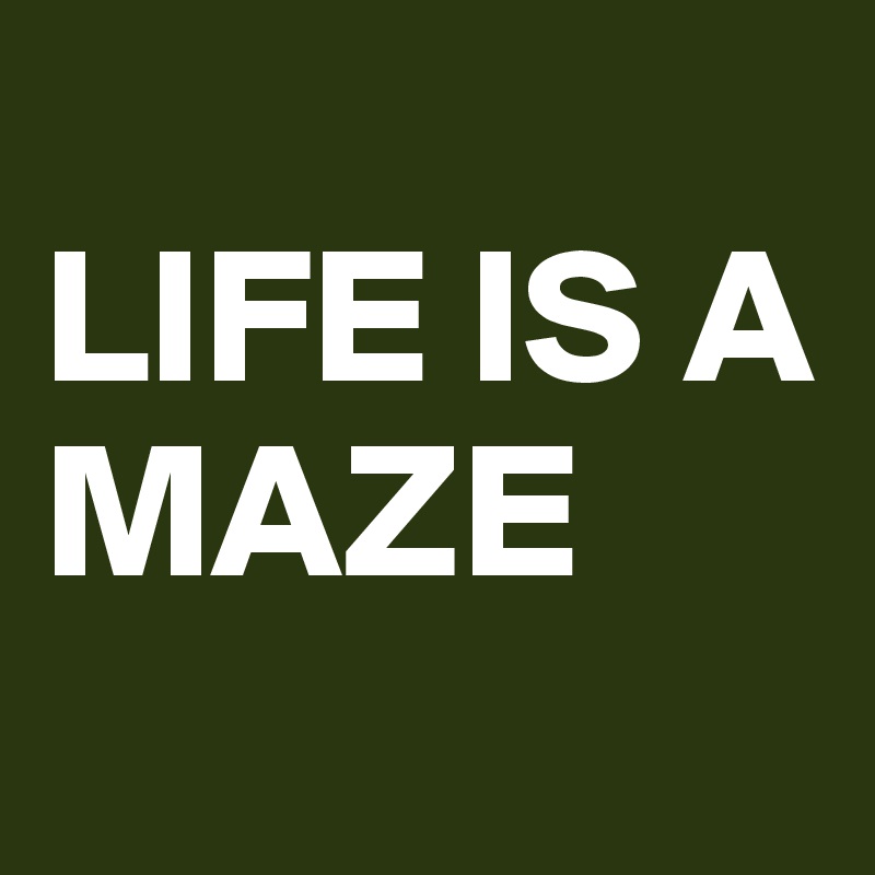 
LIFE IS A     
MAZE
