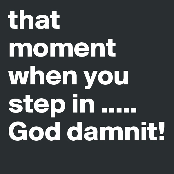 that moment when you step in .....
God damnit!