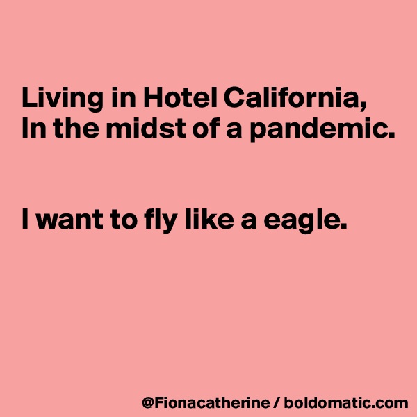 

Living in Hotel California,
In the midst of a pandemic.


I want to fly like a eagle.




