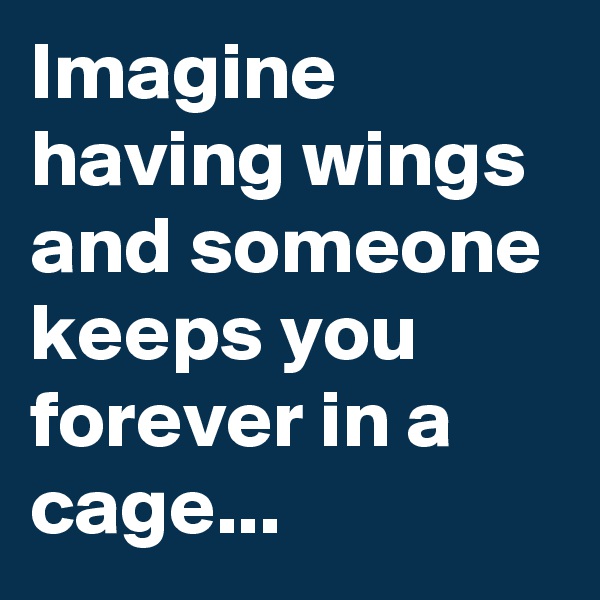 Imagine having wings and someone keeps you forever in a cage...