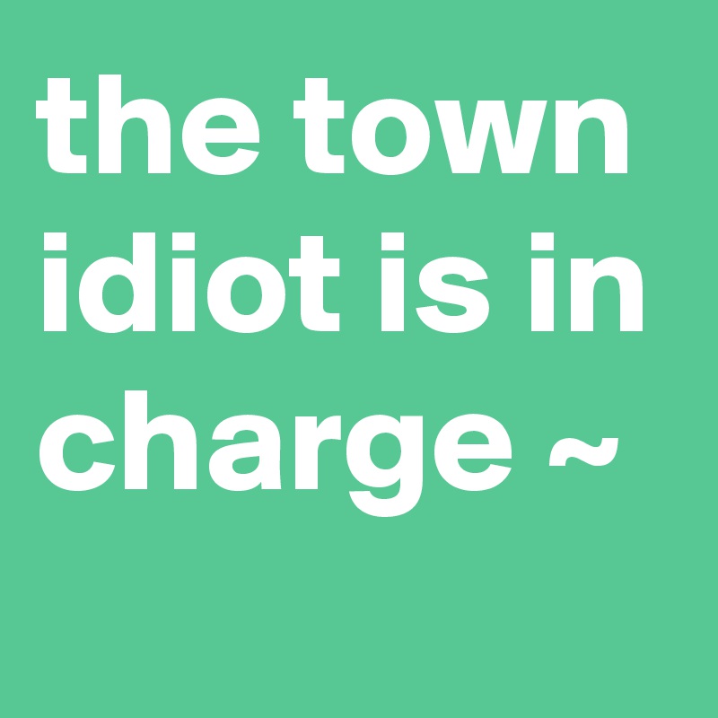 the town idiot is in charge ~
