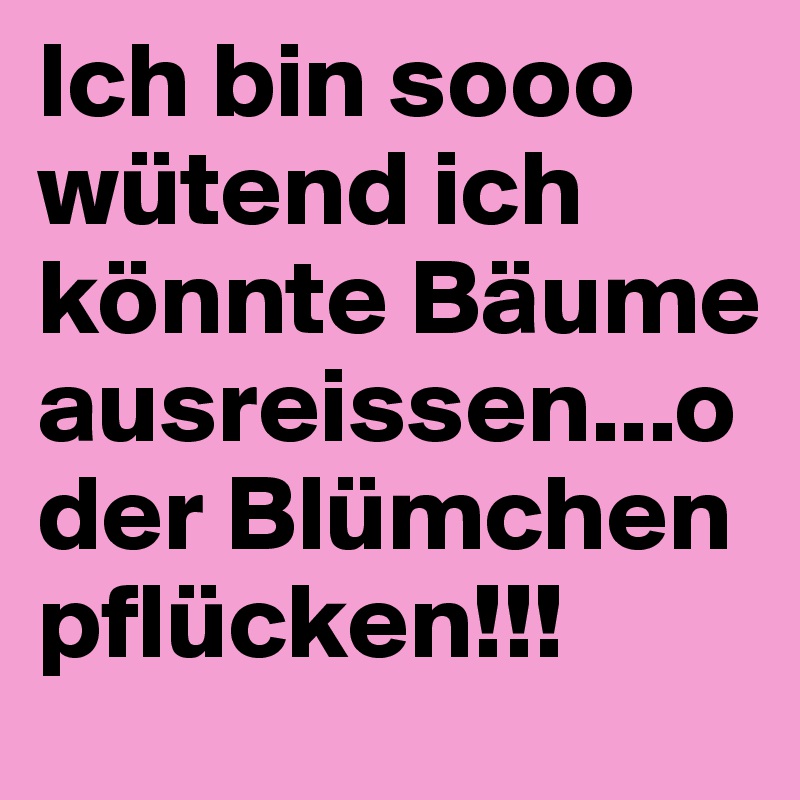 Ich bin sooo wütend ich könnte Bäume ausreissen...oder Blümchen pflücken!!!