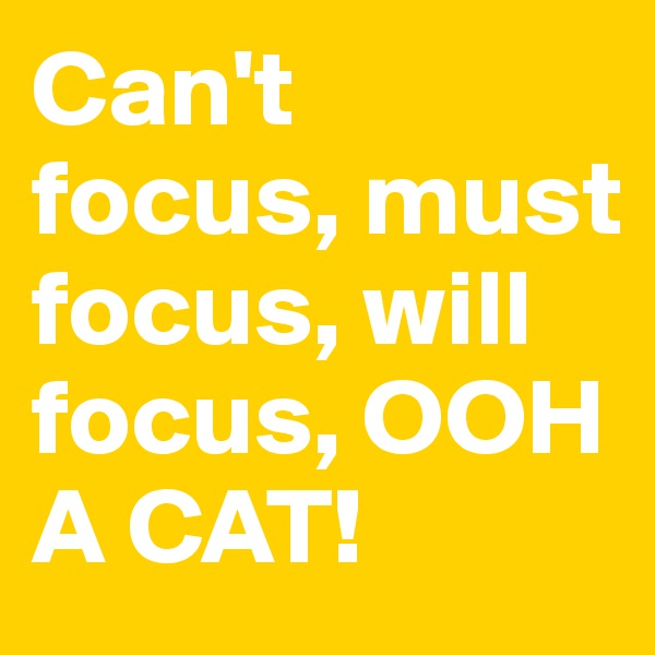 Can't focus, must focus, will focus, OOH A CAT!