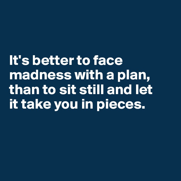 


It's better to face madness with a plan, 
than to sit still and let 
it take you in pieces.




