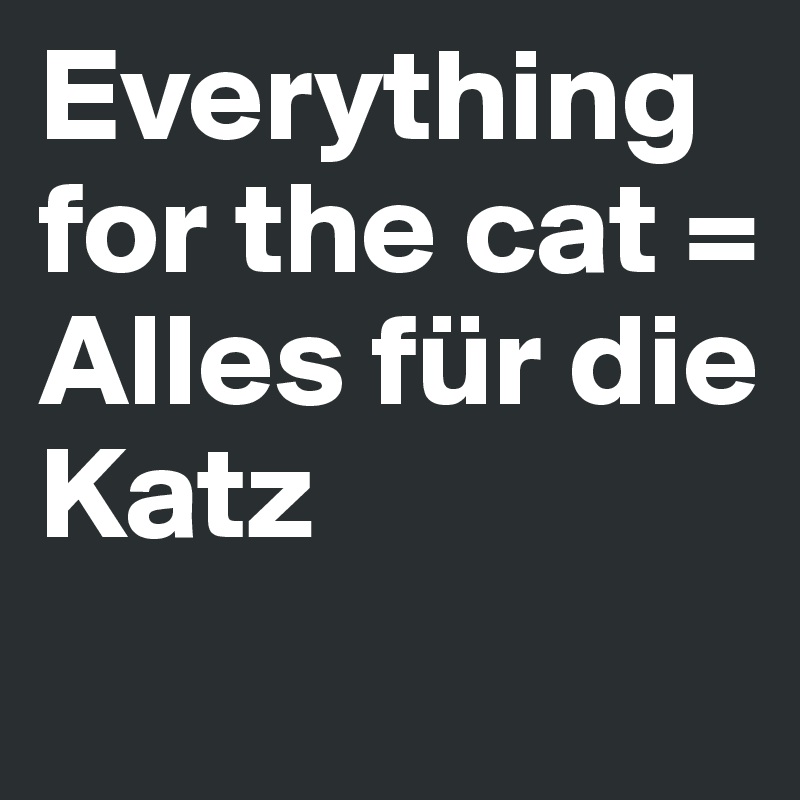 Everything for the cat =
Alles für die Katz
