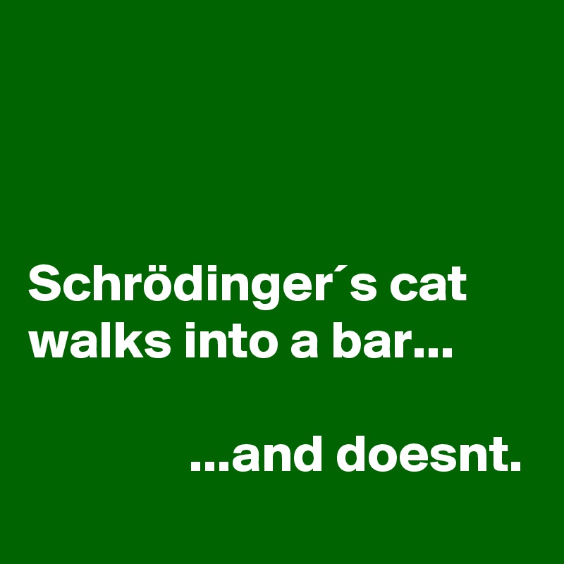 



Schrödinger´s cat walks into a bar...

               ...and doesnt.