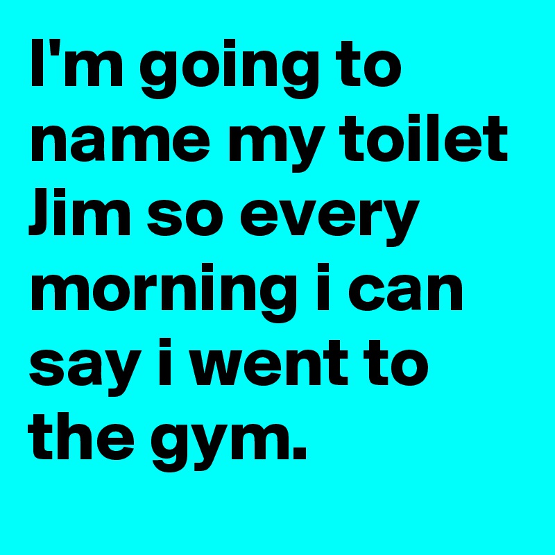 I'm going to name my toilet Jim so every morning i can say i went to the gym.