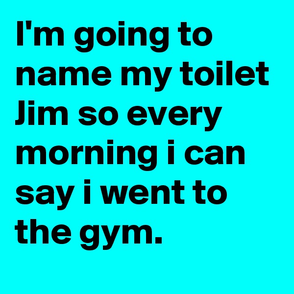 I'm going to name my toilet Jim so every morning i can say i went to the gym.